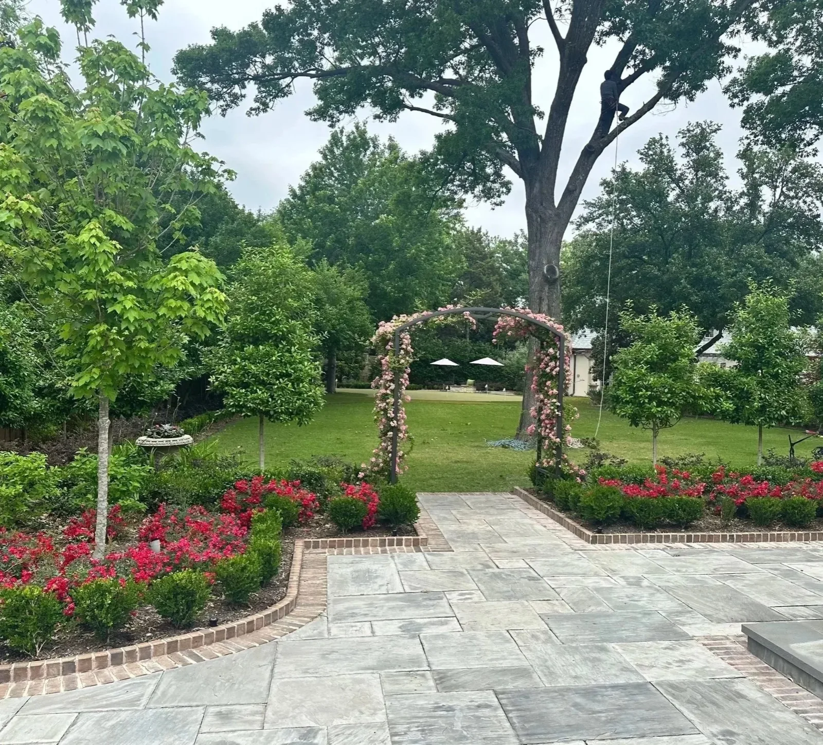 Beautiful landscaped garden
